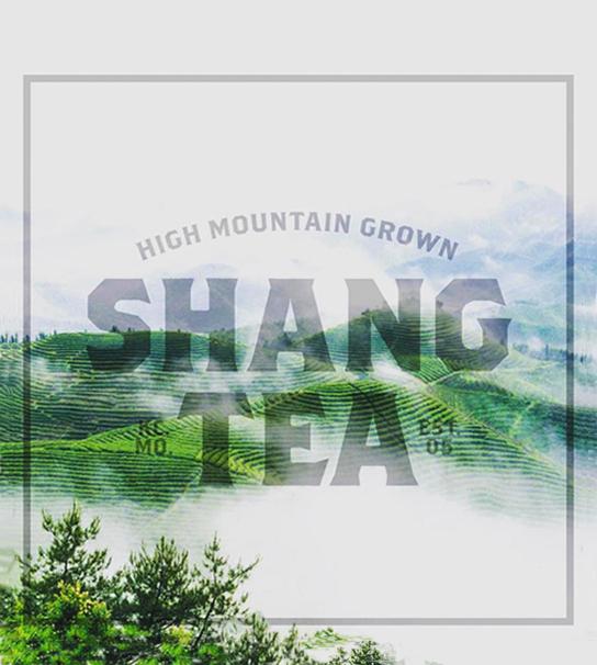 Shang Tea Mountain Logo