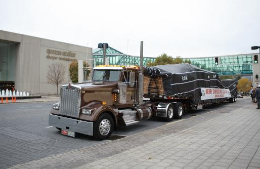 arrival of the Mayor's Christmas Tree in front of shops