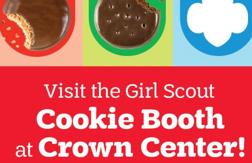 Chocolate Covered Cookies With Girl Scout Symbol