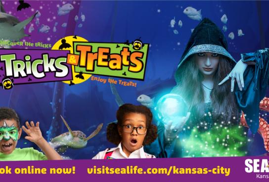 Girl, Boy, Witch and Sea Creatures